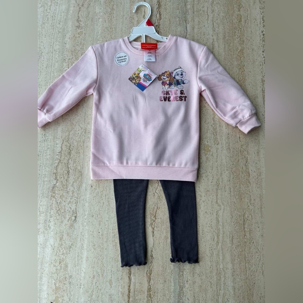Paw Patrol Skye & Everest Toddler 2pc Outfit With A Pink Sweatshirt with Pants